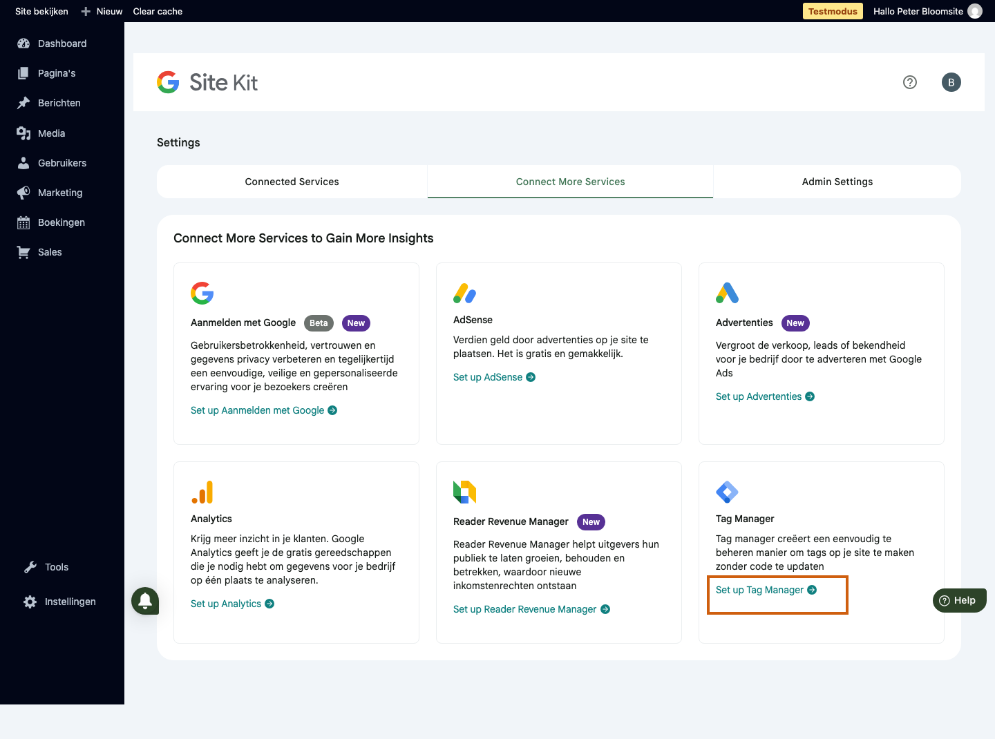 Bloomsite Google-instellingen met Set up Tag Manager gemarkeerd