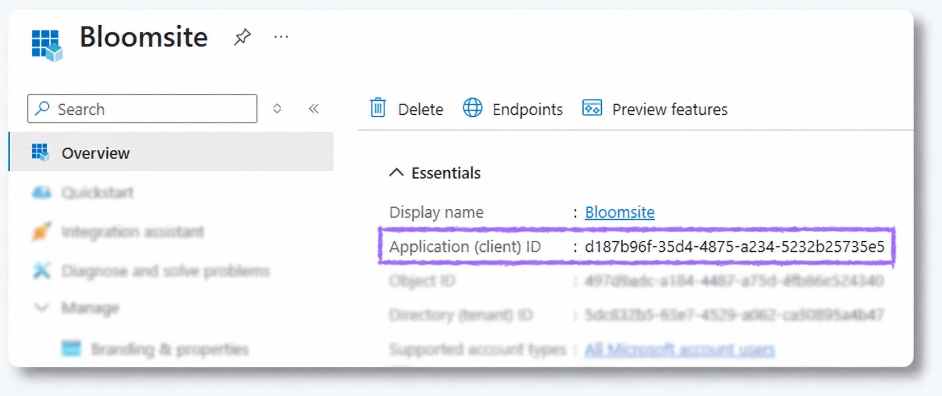 Overzicht van een Microsoft-appregistratie met Application client ID